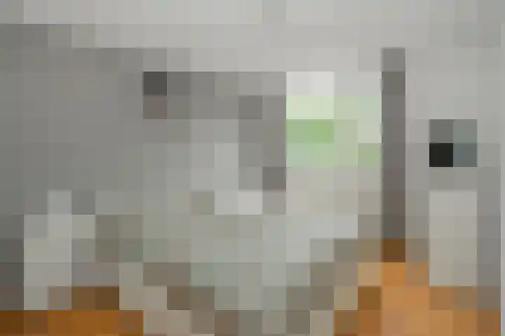 Wanstede 18 Vaassen thumbnail 10