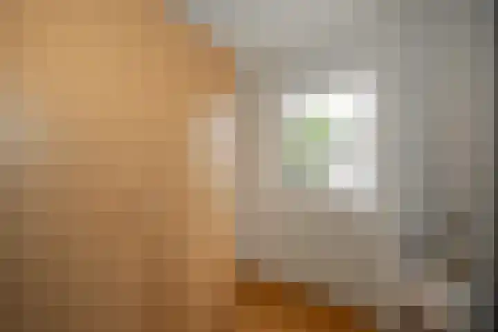 Wanstede 18 Vaassen thumbnail 14