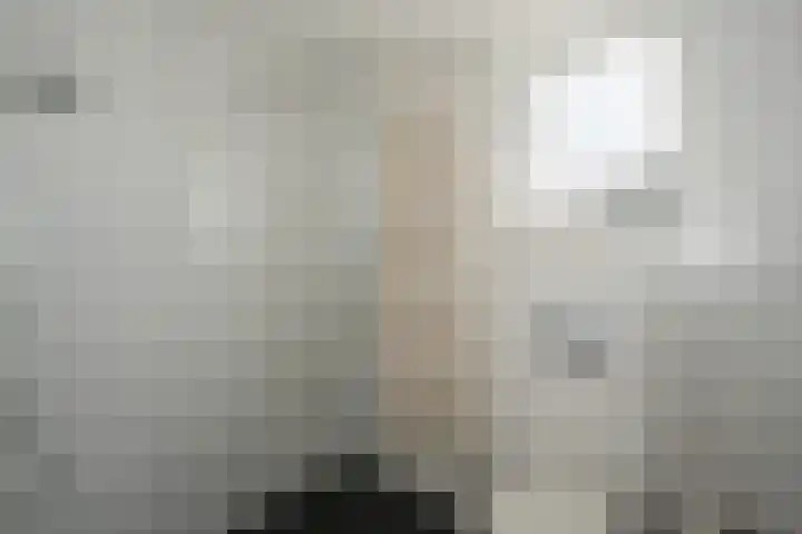 Wanstede 18 Vaassen thumbnail 17