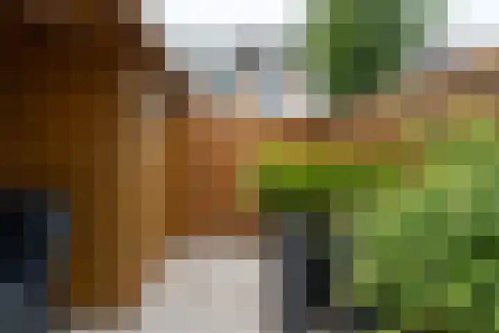 Wanstede 18 Vaassen thumbnail 23