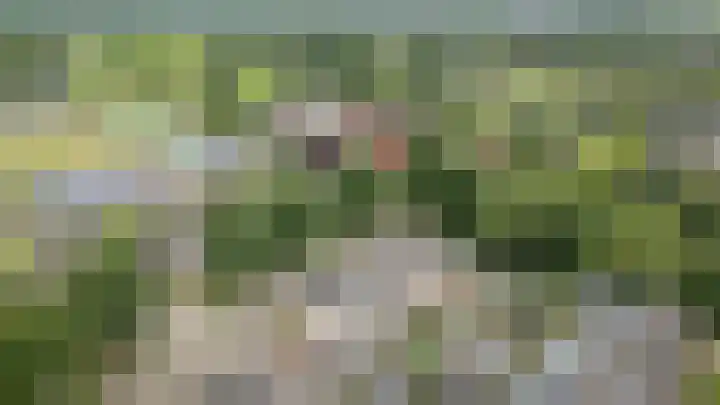 Wanstede 18 Vaassen thumbnail 24