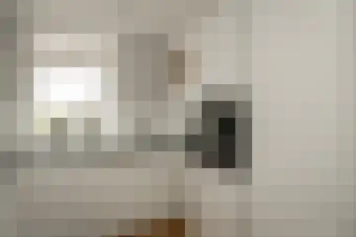 Wanstede 18 Vaassen thumbnail 8
