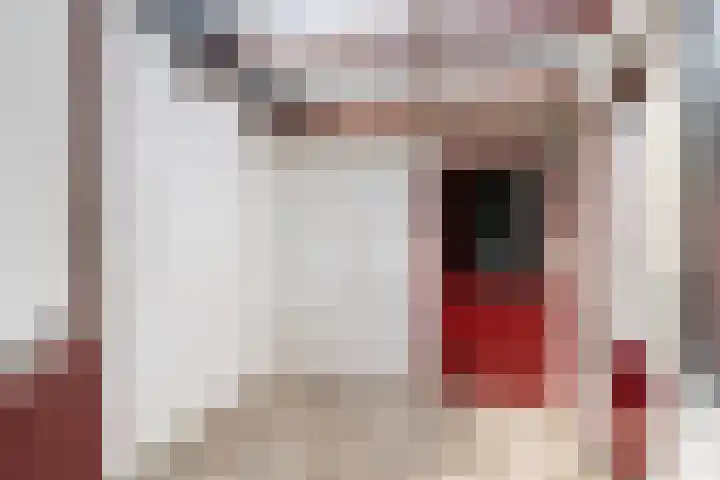 Wânswerterdyk 2 Burdaard thumbnail 11