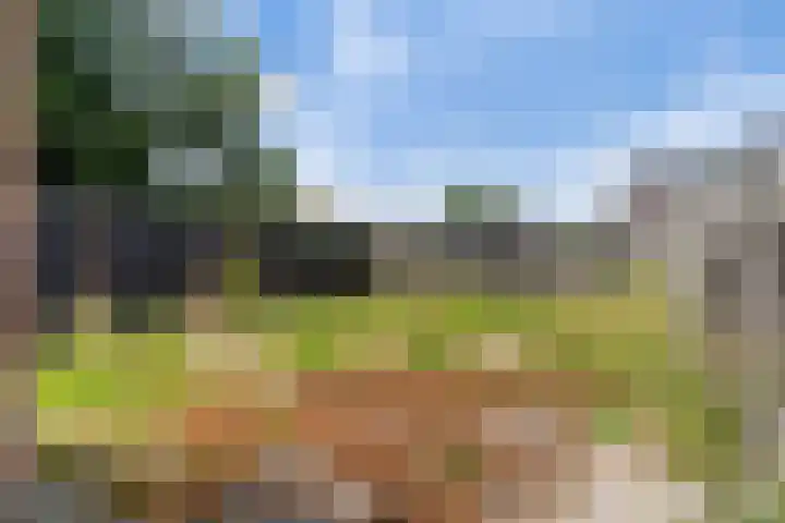 Wânswerterdyk 2 Burdaard thumbnail 22