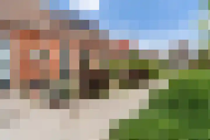 Wânswerterdyk 2 Burdaard thumbnail 24
