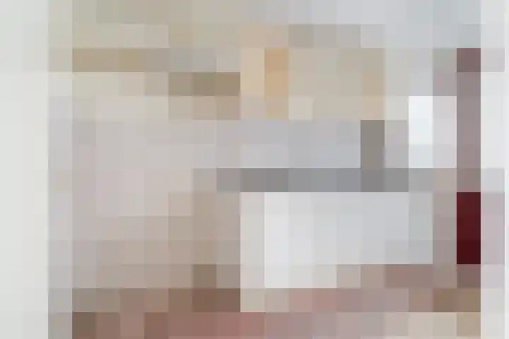 Wânswerterdyk 2 Burdaard foto 3
