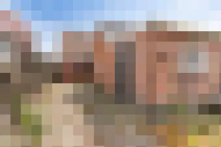 Wânswerterdyk 2 Burdaard thumbnail 4