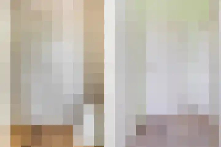 Wânswerterdyk 2 Burdaard thumbnail 7
