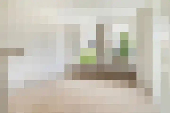 Wânswerterdyk 2 Burdaard thumbnail 8