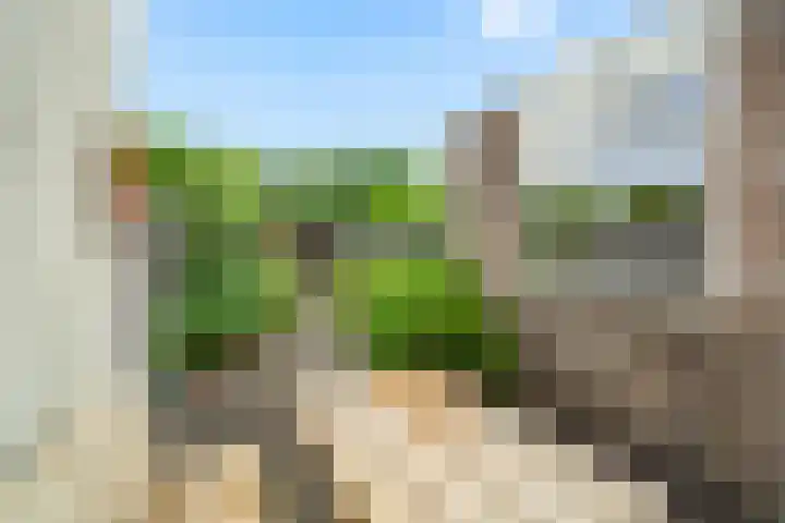 Wanveld 20 Houten thumbnail 11