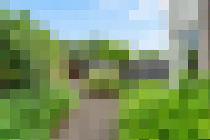 Wanveld 20 Houten thumbnail 12
