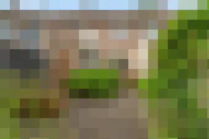 Wanveld 20 Houten thumbnail 16