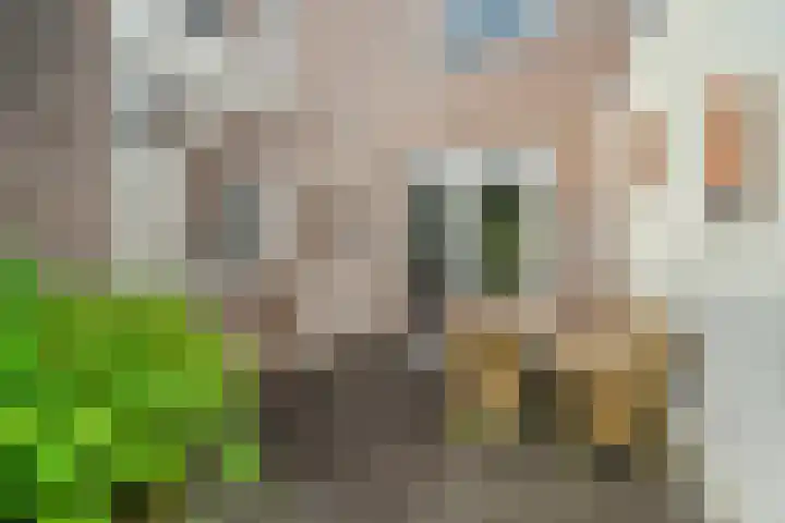Wanveld 20 Houten thumbnail 17
