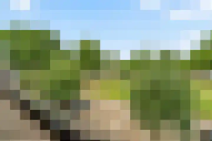 Wanveld 20 Houten thumbnail 31