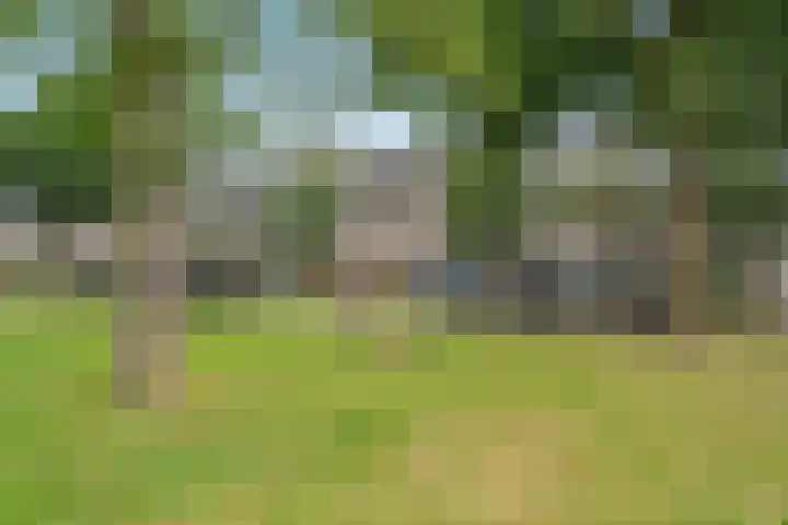 Wanveld 20 Houten thumbnail 36