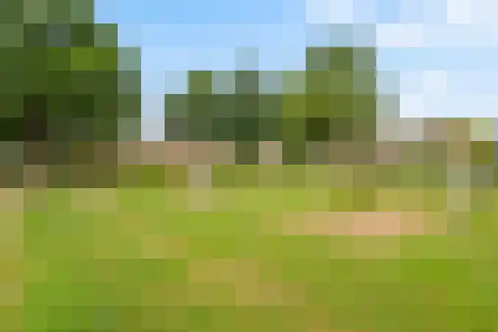 Wanveld 20 Houten thumbnail 37