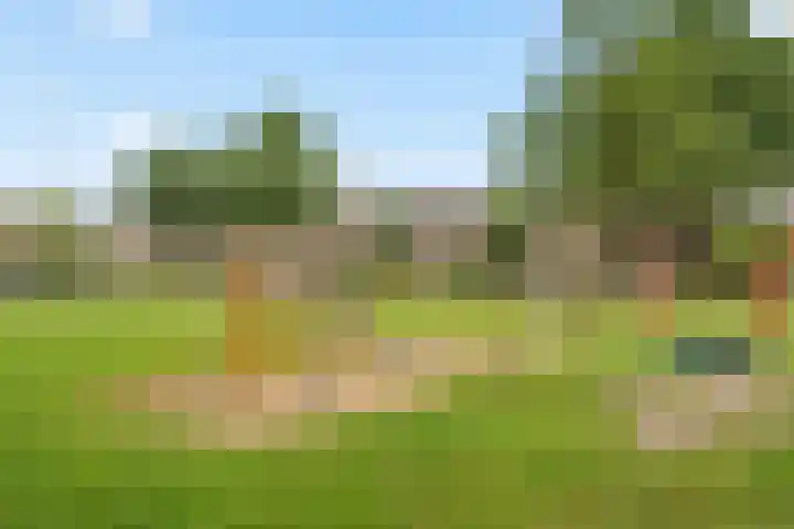 Wanveld 20 Houten thumbnail 38
