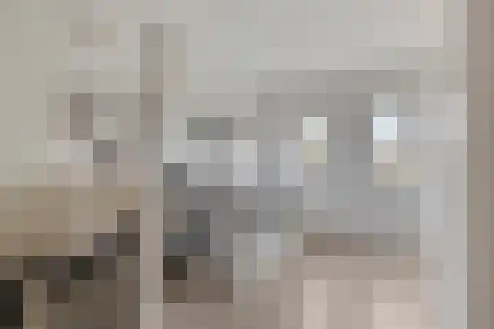 Wanyng 11 Goor thumbnail 22