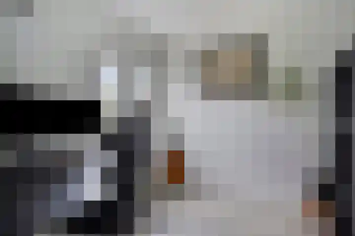 Wanyng 11 Goor thumbnail 24