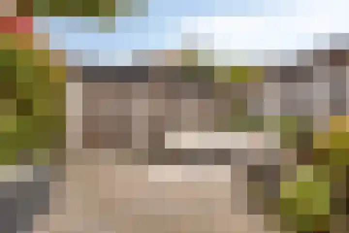 Wanyng 11 Goor thumbnail 26