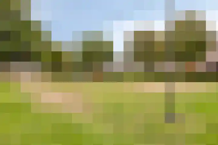 Wanyng 11 Goor thumbnail 30