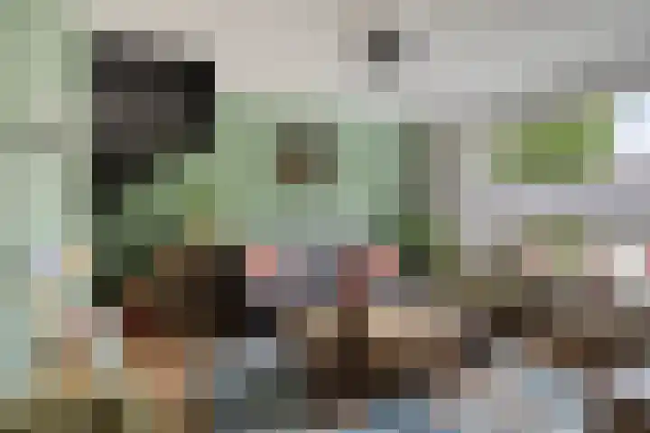 Wanyng 11 Goor thumbnail 4