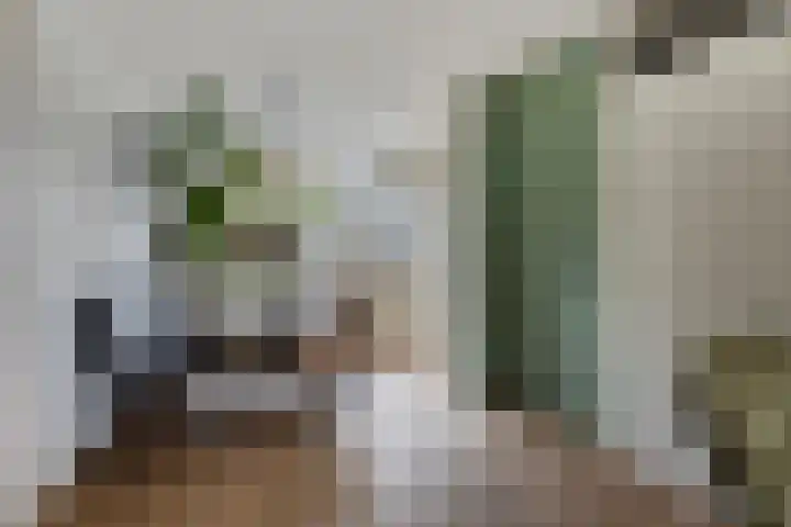 Wanyng 11 Goor thumbnail 9