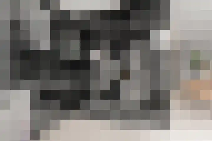 Wapendrager 45 Oss thumbnail 16