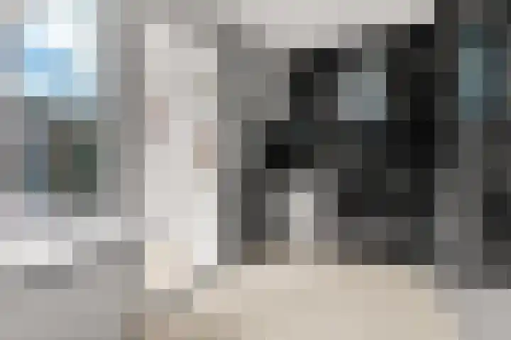 Wapendrager 45 Oss thumbnail 17