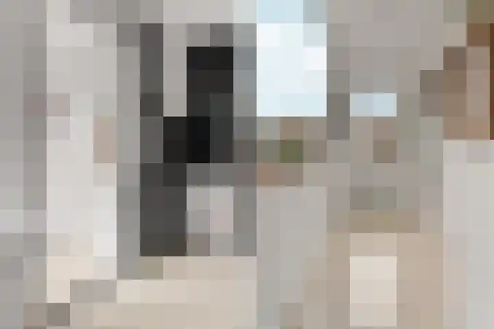 Wapendrager 45 Oss thumbnail 18