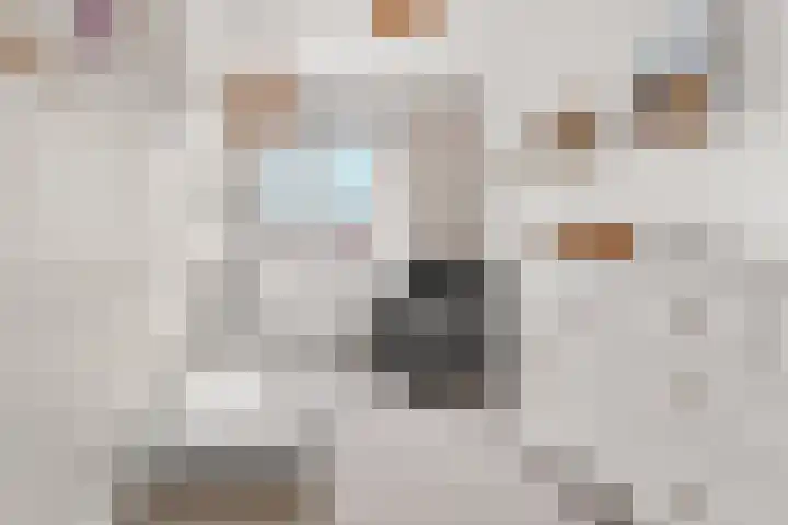 Wapendrager 45 Oss thumbnail 21