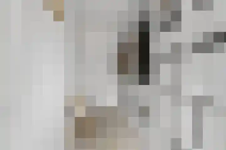 Wapendrager 45 Oss thumbnail 24