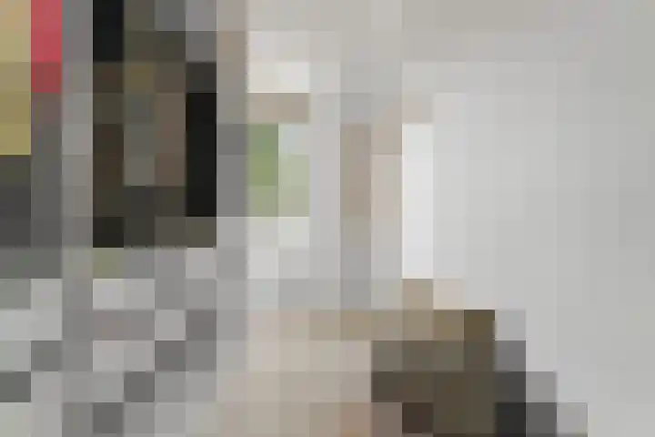 Wapendrager 45 Oss thumbnail 25