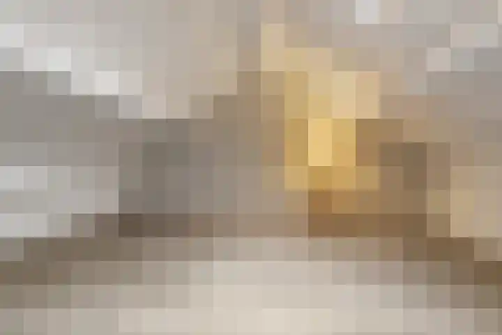Wapendrager 45 Oss thumbnail 29