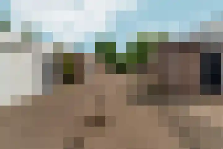 Wapendrager 45 Oss thumbnail 37