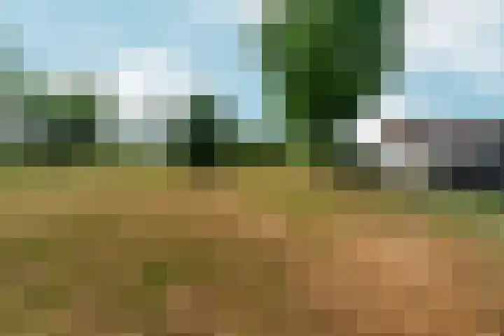 Wapendrager 45 Oss thumbnail 38