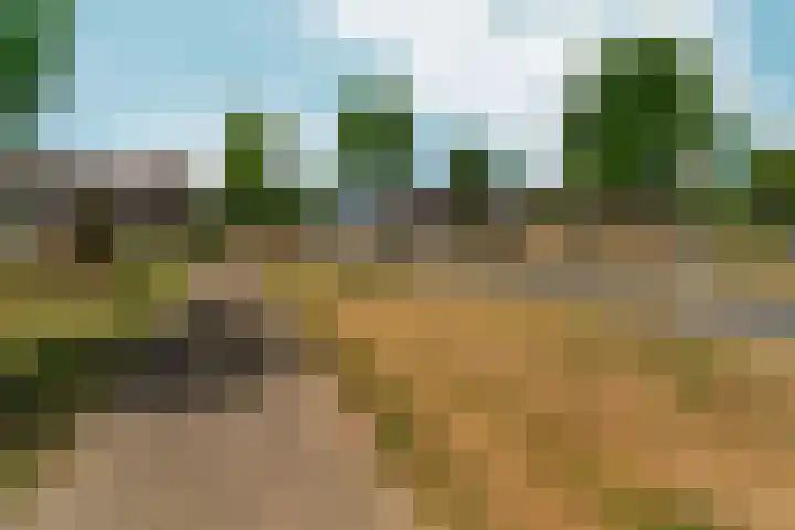 Wapendrager 45 Oss thumbnail 39