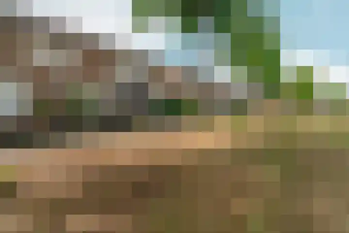 Wapendrager 45 Oss thumbnail 4