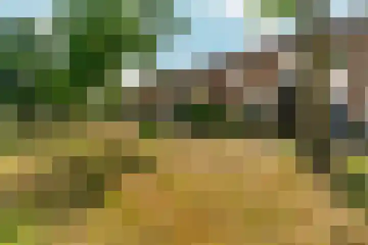 Wapendrager 45 Oss thumbnail 5