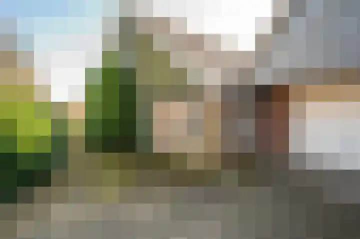 Wapserveenseweg 5 Wittelte thumbnail 30
