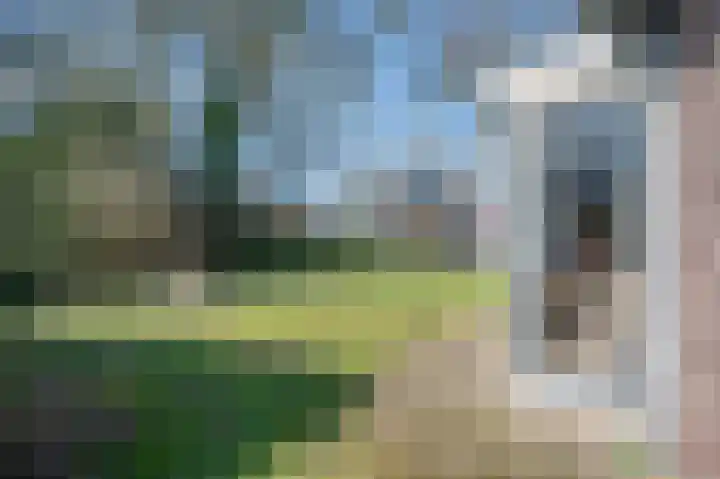 Wapserveenseweg 5 Wittelte thumbnail 39