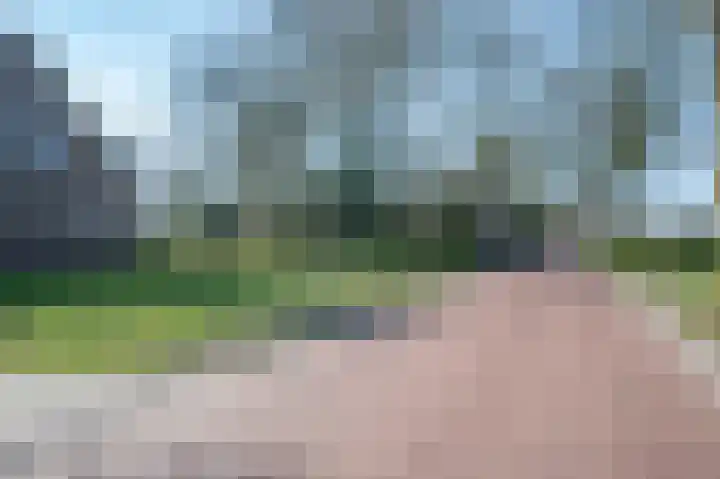 Wapserveenseweg 5 Wittelte thumbnail 40