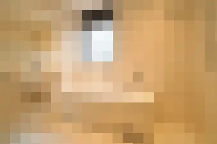 Warande 13 Deurne thumbnail 14