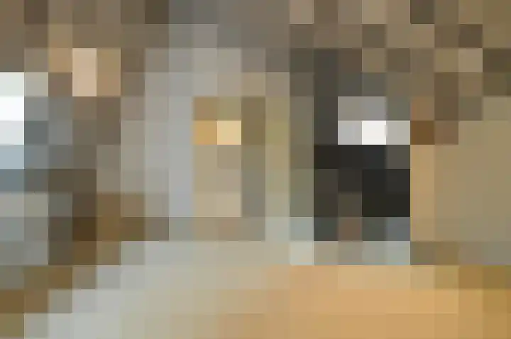 Warande 13 Deurne thumbnail 19