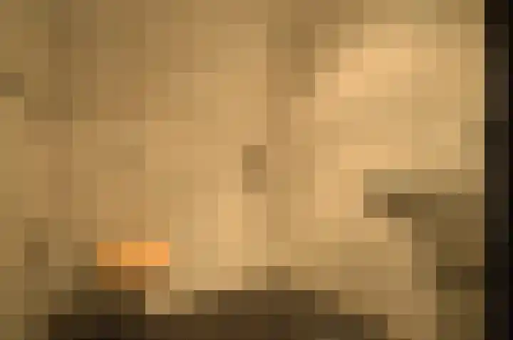 Warande 13 Deurne thumbnail 21