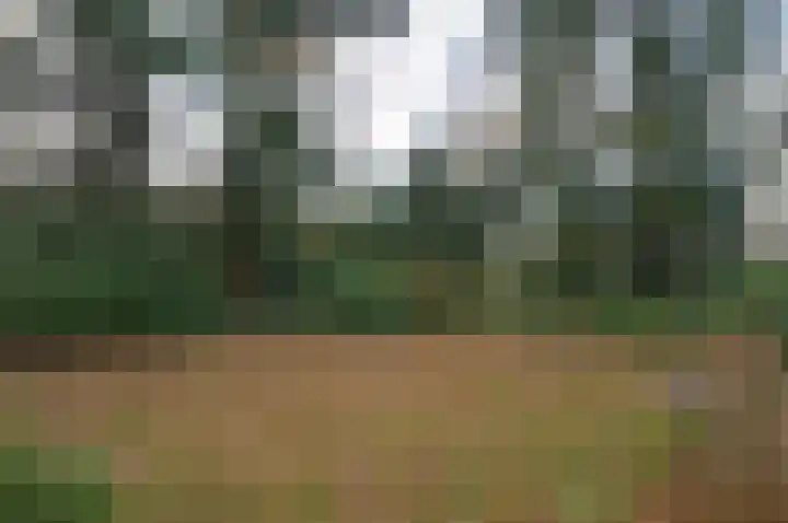 Warande 13 Deurne thumbnail 25