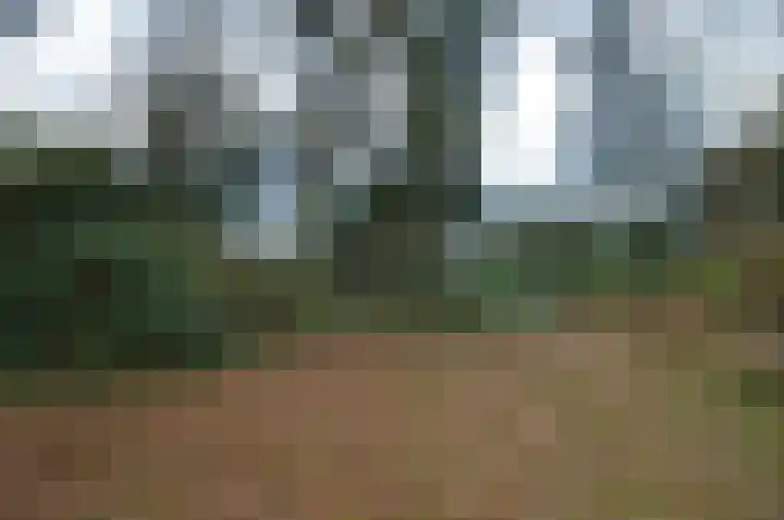 Warande 13 Deurne thumbnail 26