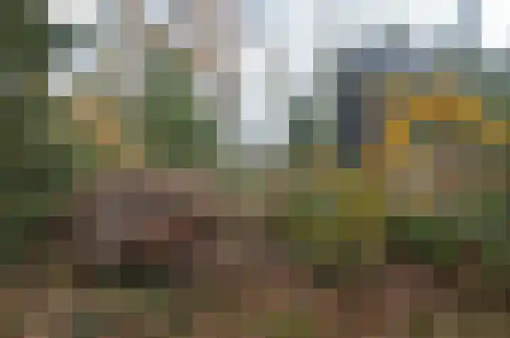 Warande 13 Deurne thumbnail 30