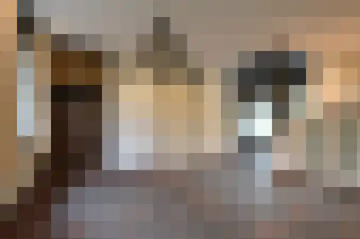 Warande 13 Deurne thumbnail 5