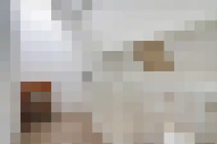 Warande 14 Ede thumbnail 14